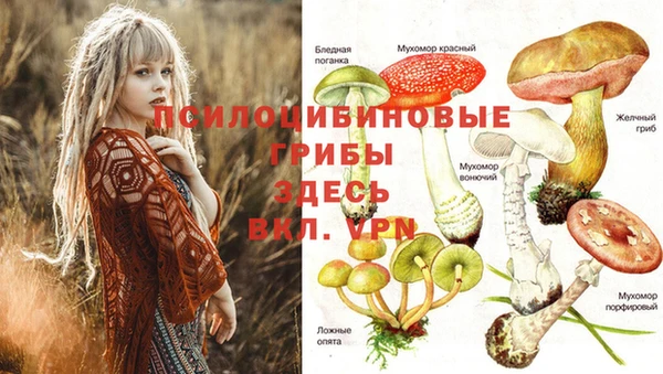 альфа пвп Балабаново