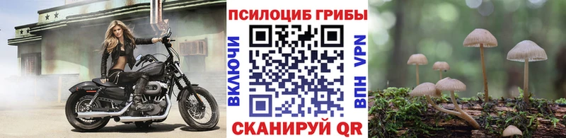 блэк спрут рабочий сайт Колпашево Псилоцибиновые грибы GOLDEN TEACHER