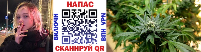 Каннабис White Widow  MEGA ТОР  Колпашево 