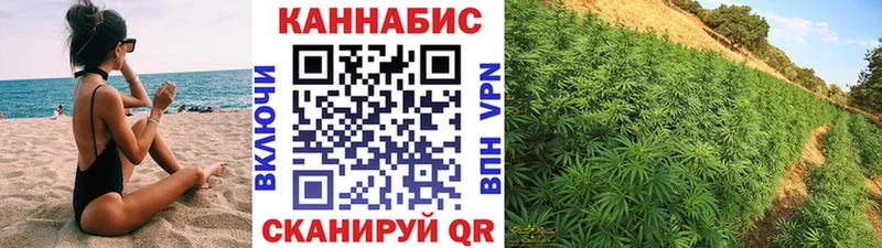 Бошки Шишки гибрид Колпашево